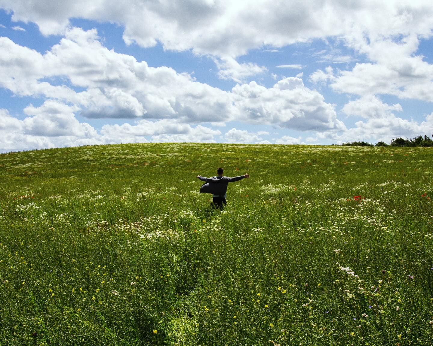 Bright Fields